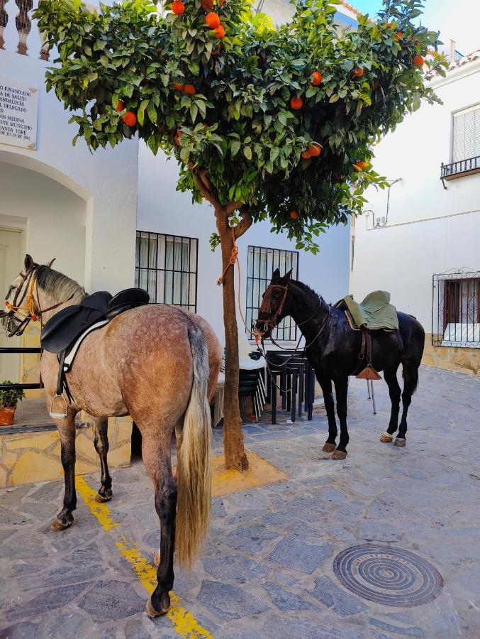 Modern, Bright And Comfortable Apartment With Shared Roof Terrace Canillas de Aceituno Екстериор снимка